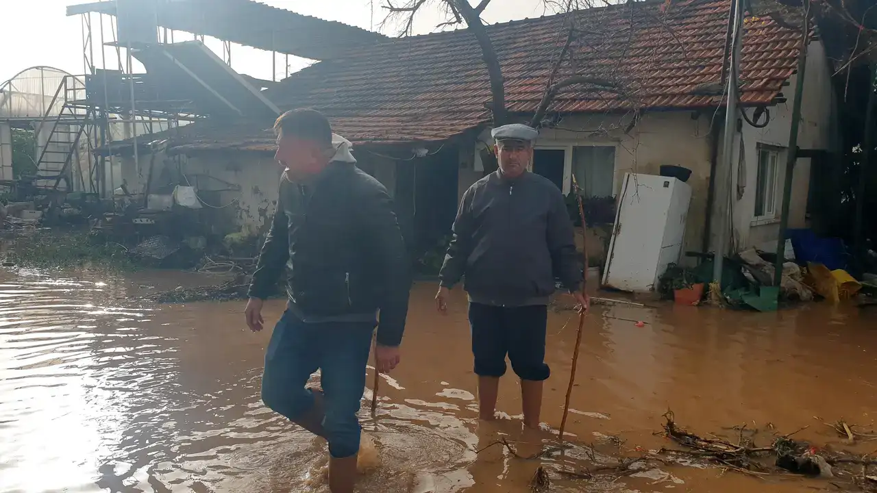 1500 Dönüm Tarım Alanı Zarar Gördü! Çiftçi: 'Ben Bittim Artık' 6